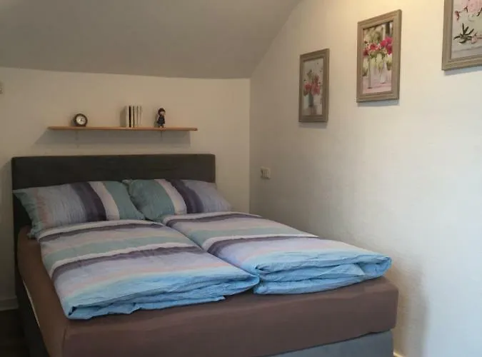 Apartament Carpe Diem Cochem